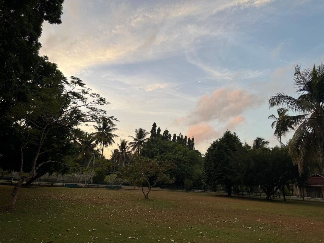 塔玛林德树酒店主图