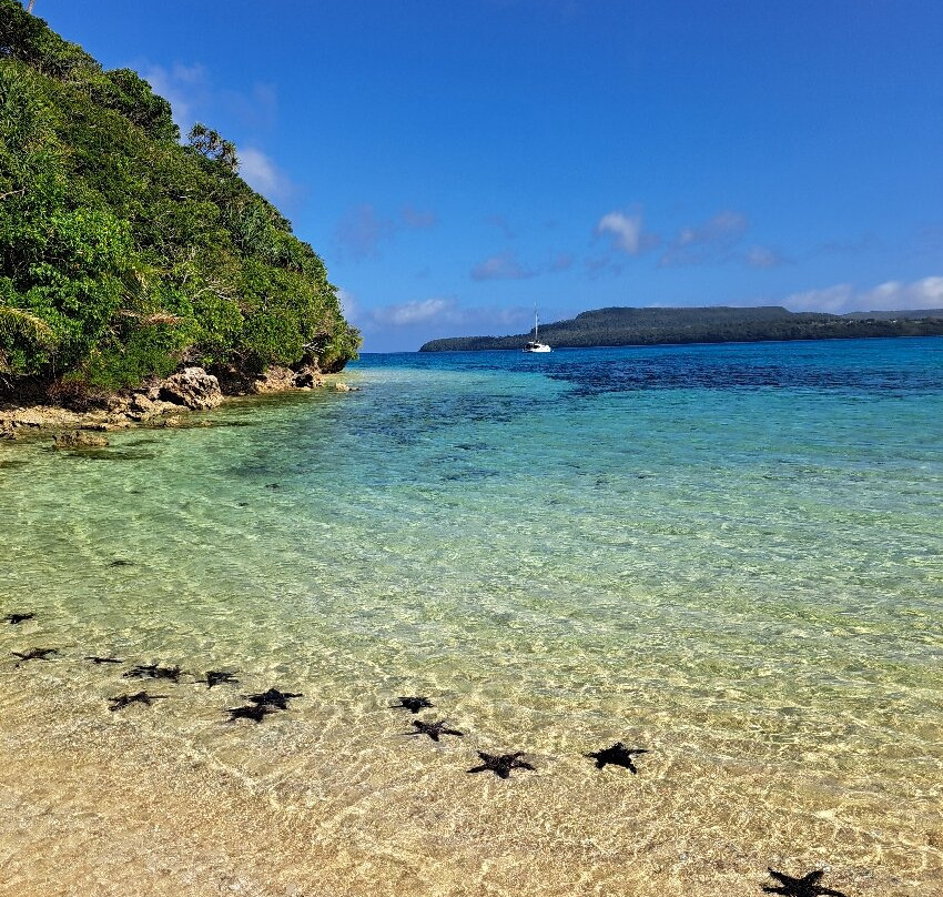 Mala Island Resort主图