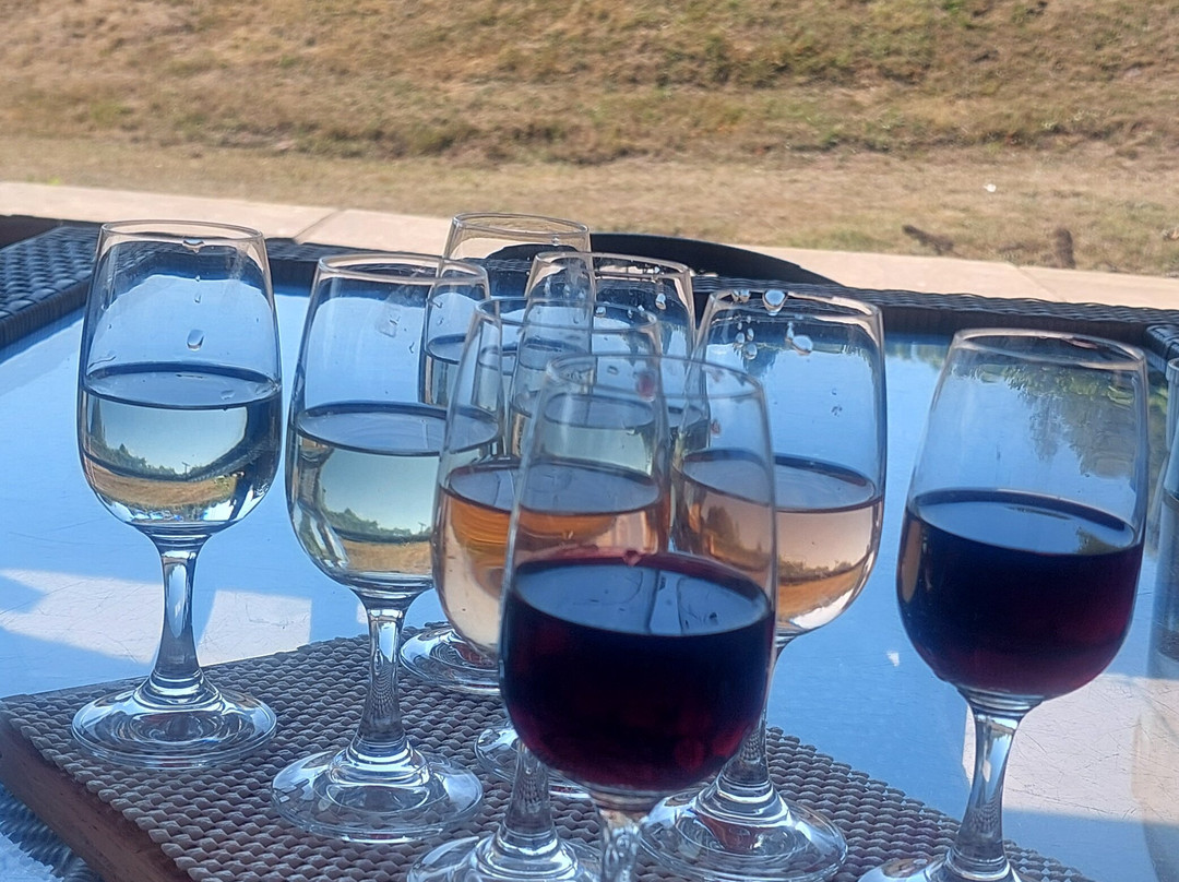 The Sugarloaf Vineyard-阿伯加文尼必去景点