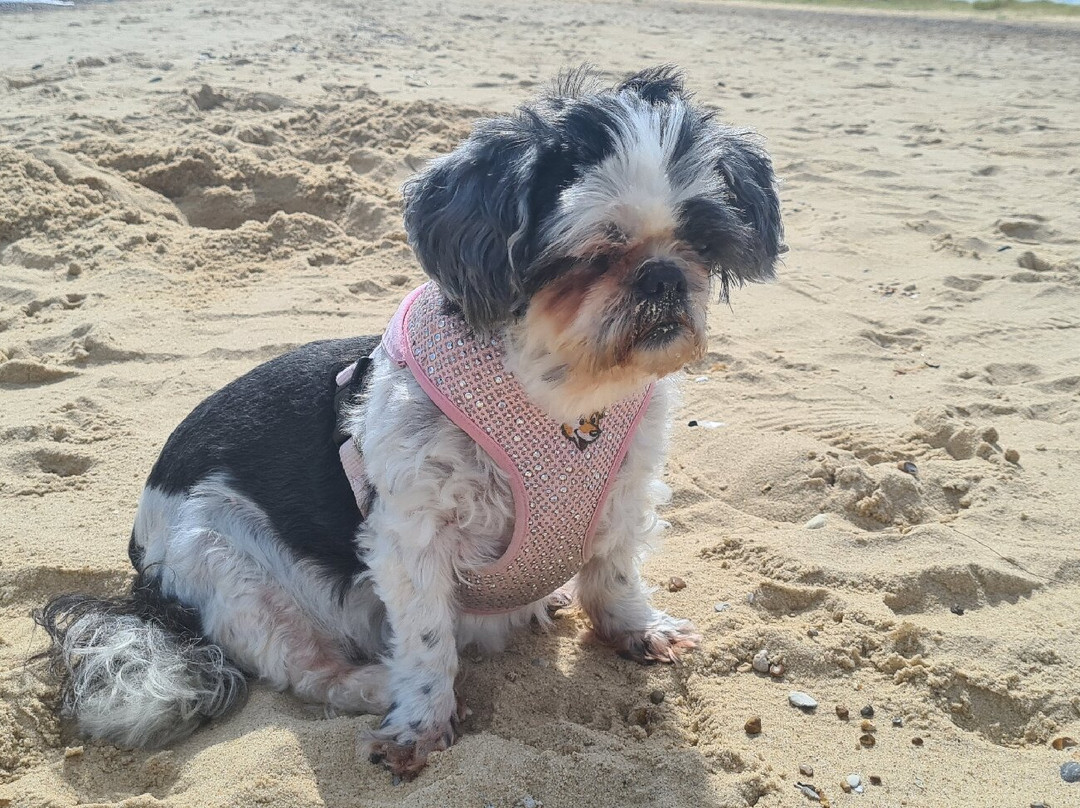 Great Yarmouth North Beach-大雅茅斯必去景点