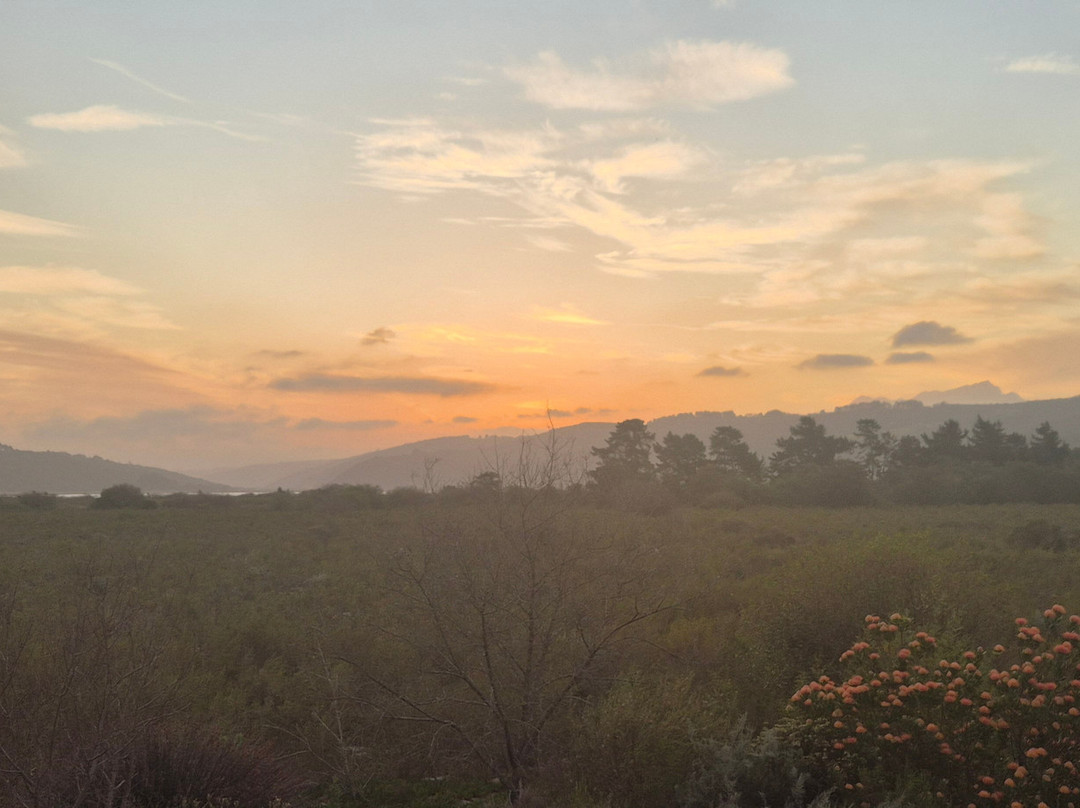 Reflections Eco Reserve主图