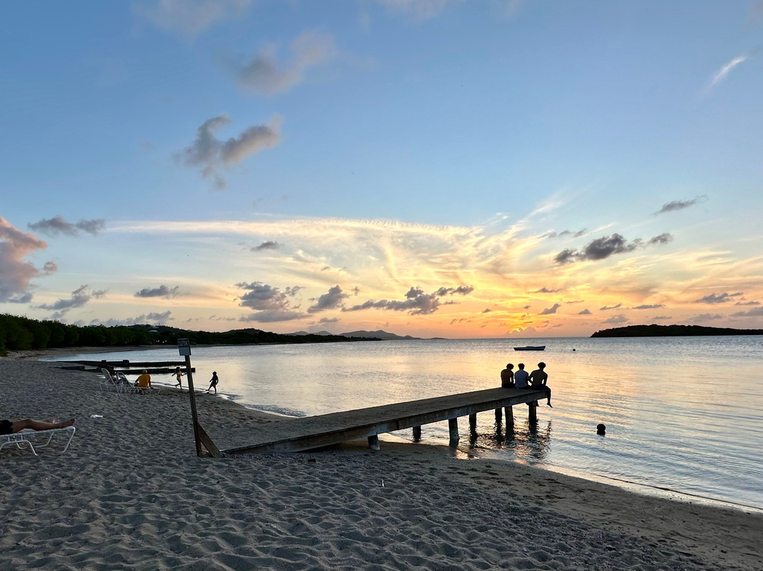 Bungalows on the Bay主图