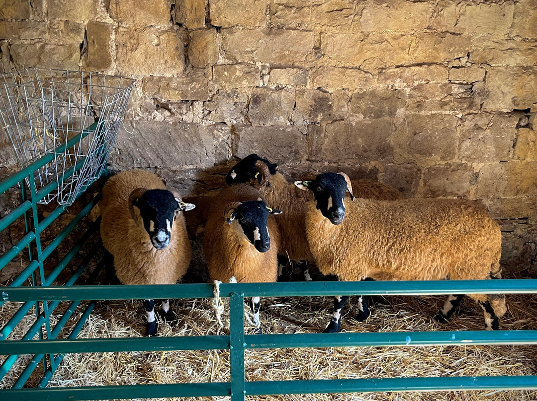 Real Yorkshire Tours-Burley in Wharfedale必去景点