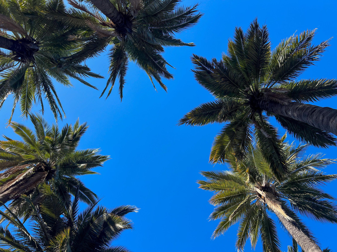 Bello Chile-Limache必去景点