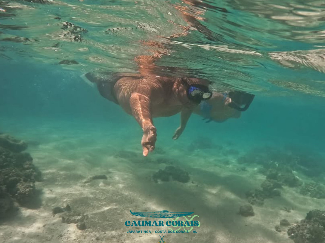 Caumar Corais-Japaratinga必去景点