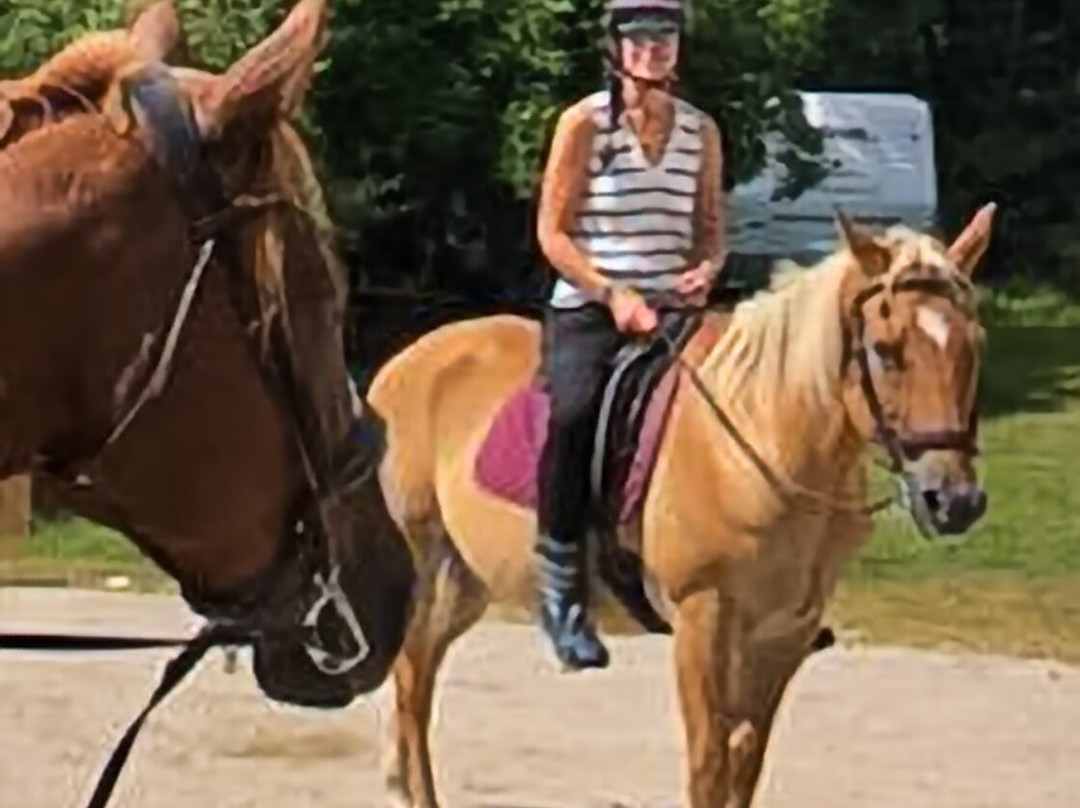 Deepwood Farm-贝塞尔必去景点