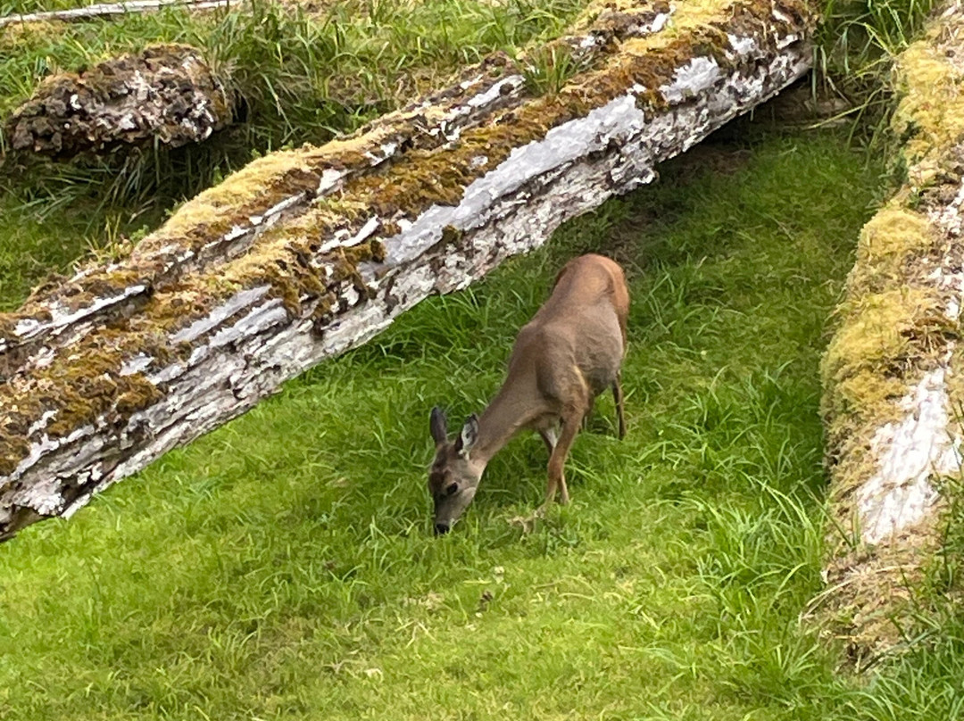 Moresby Explorers-Sandspit必去景点