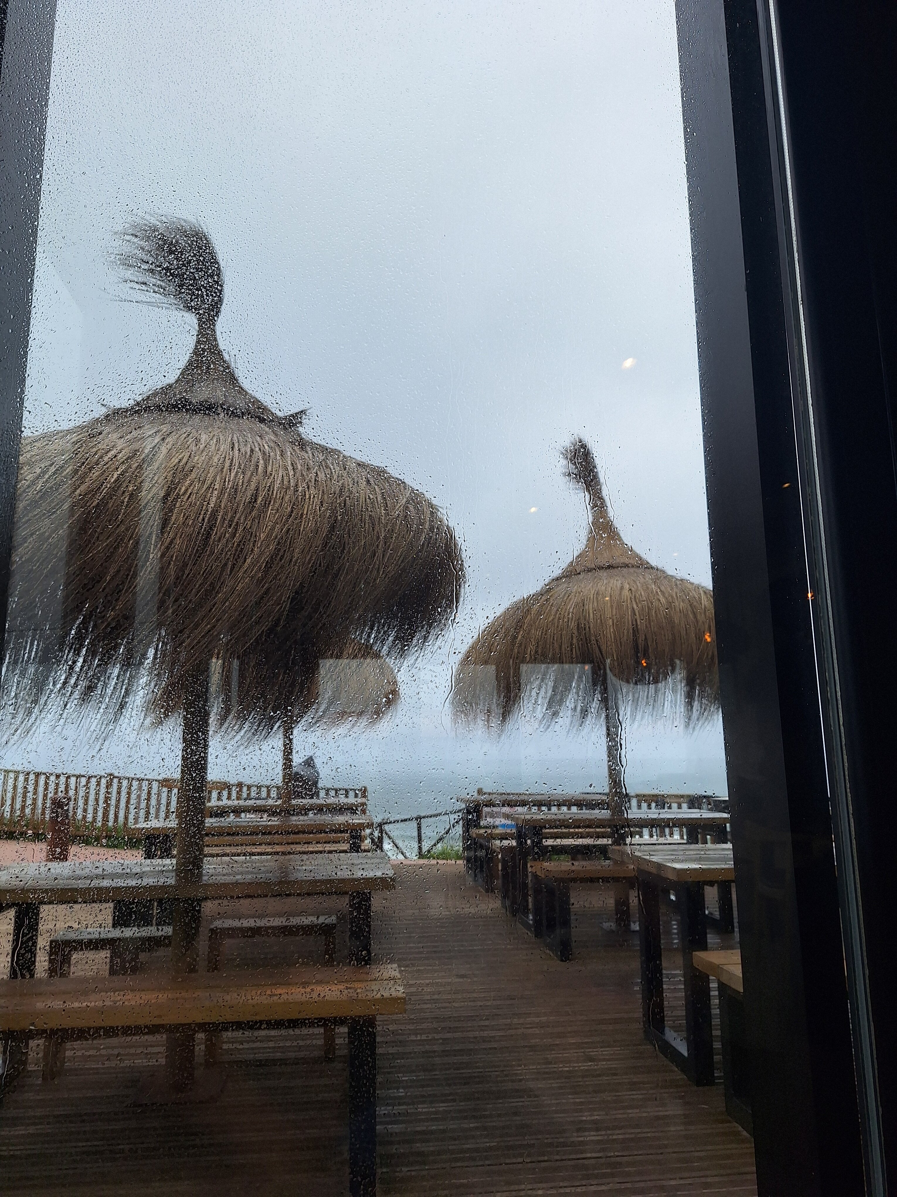 El Castillo de Los Locos-官方