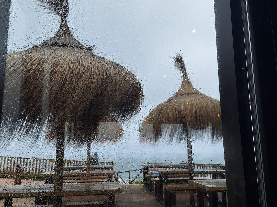 El Castillo de Los Locos主图