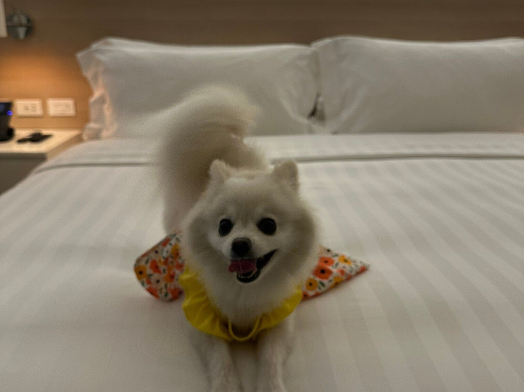 Brittany Hotel主图