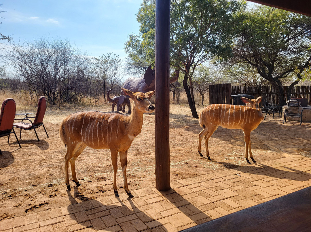 Sondela Nature Reserve Accommodation主图