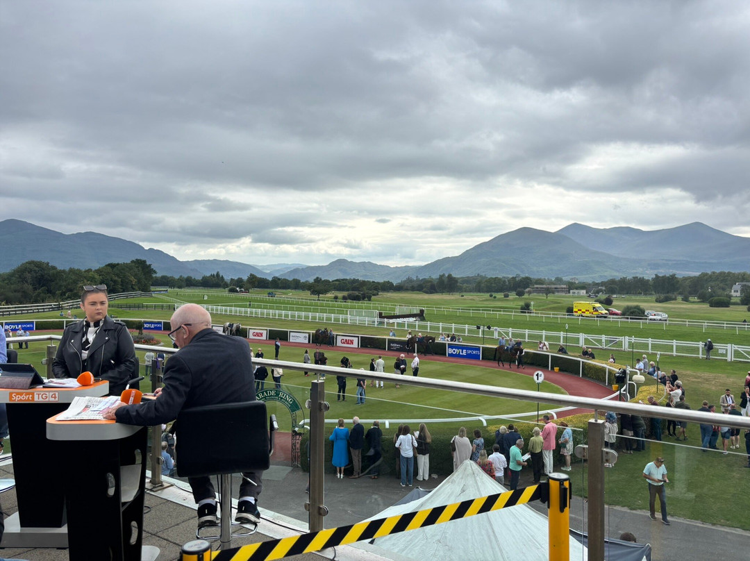 Killarney Tour & Taxi Service-基拉尼必去景点