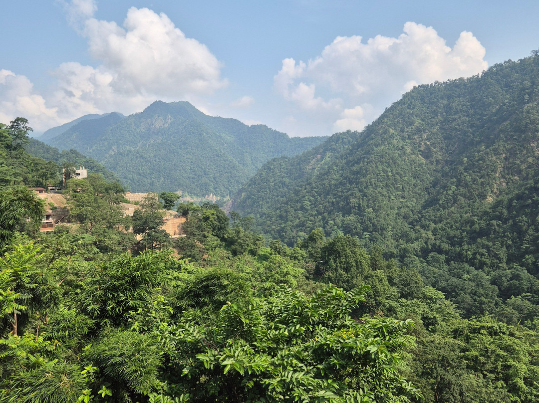 Veda5 Ayurveda & Yoga Retreat主图