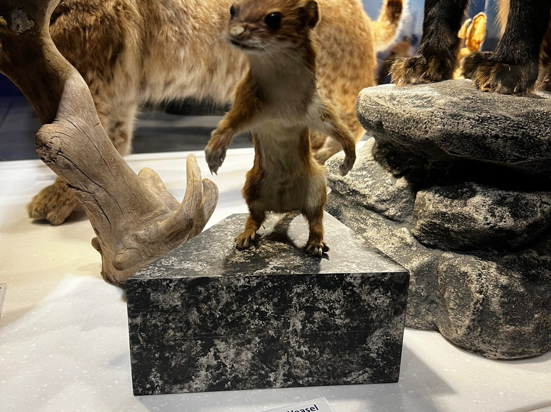 Mount Washington State Park-Mount Washington必去景点