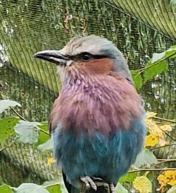 Lakeland Wildlife Oasis-Milnthorpe必去景点