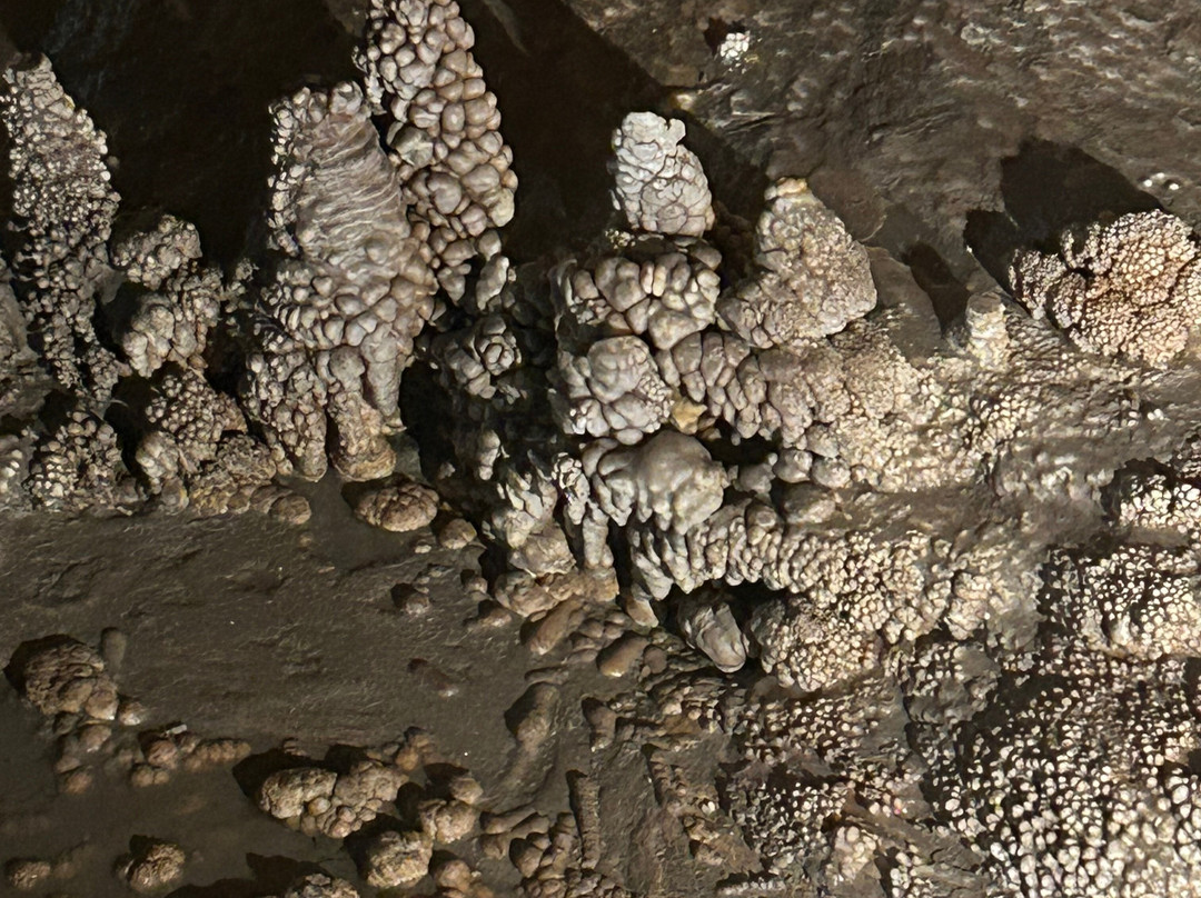 Cuevas de Genova-马洛卡帕尔马必去景点