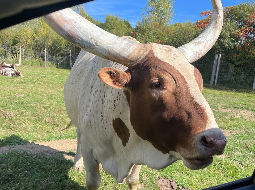 Parc Safari-Hemmingford必去景点