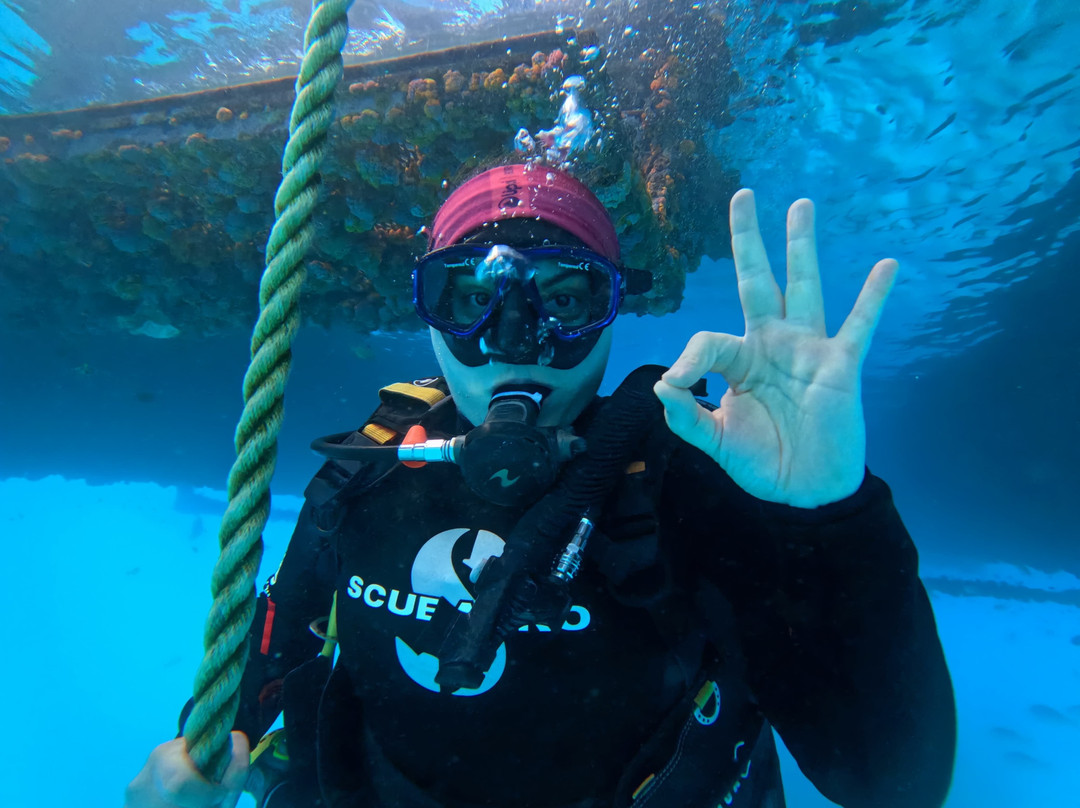 Bali Hai Diving Adventures-蓝梦岛必去景点