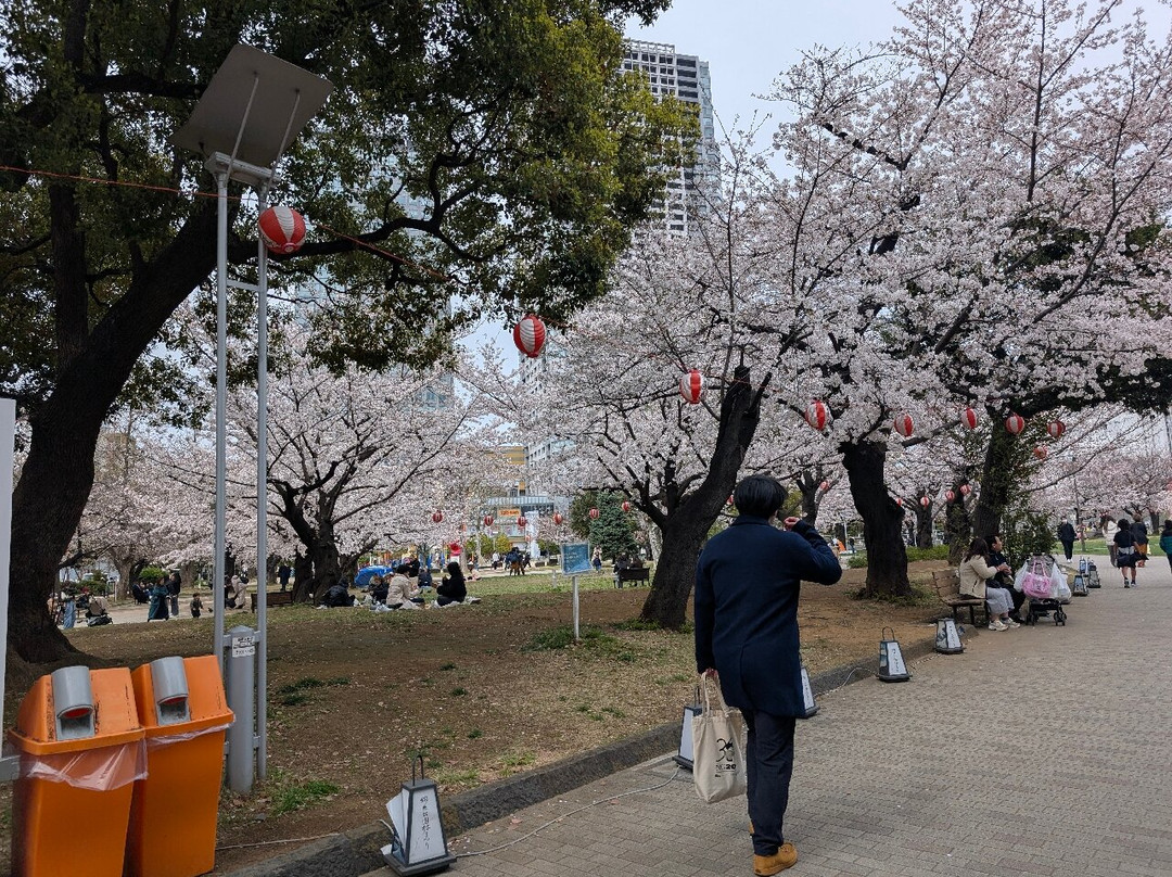 Kinshi Park-墨田区必去景点
