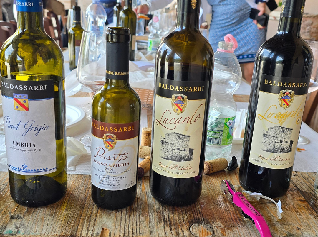 Cantina Baldassarri-Collazzone必去景点