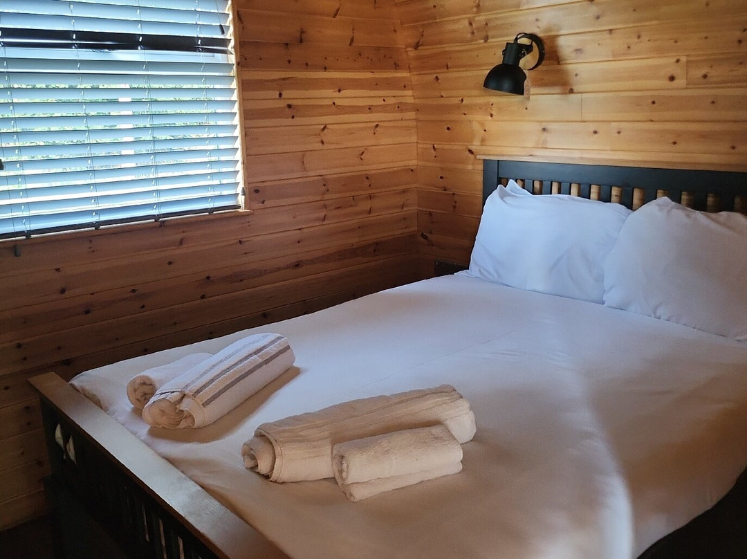 Old Hall House主图