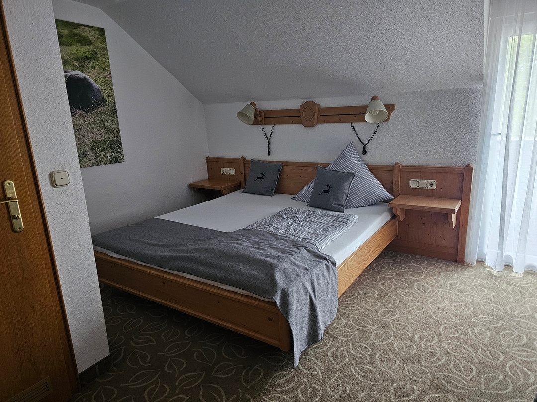 阿尔特维特酒店主图