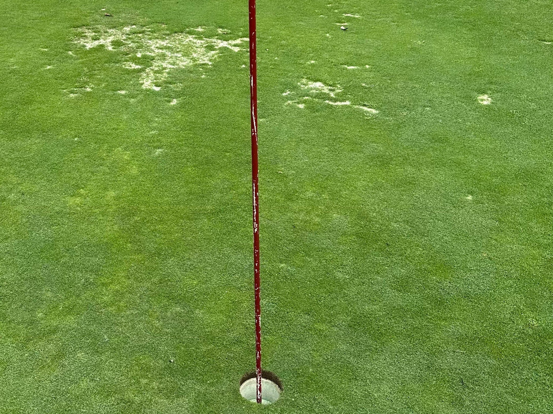 Chatuge Shores Golf Course-Hayesville必去景点