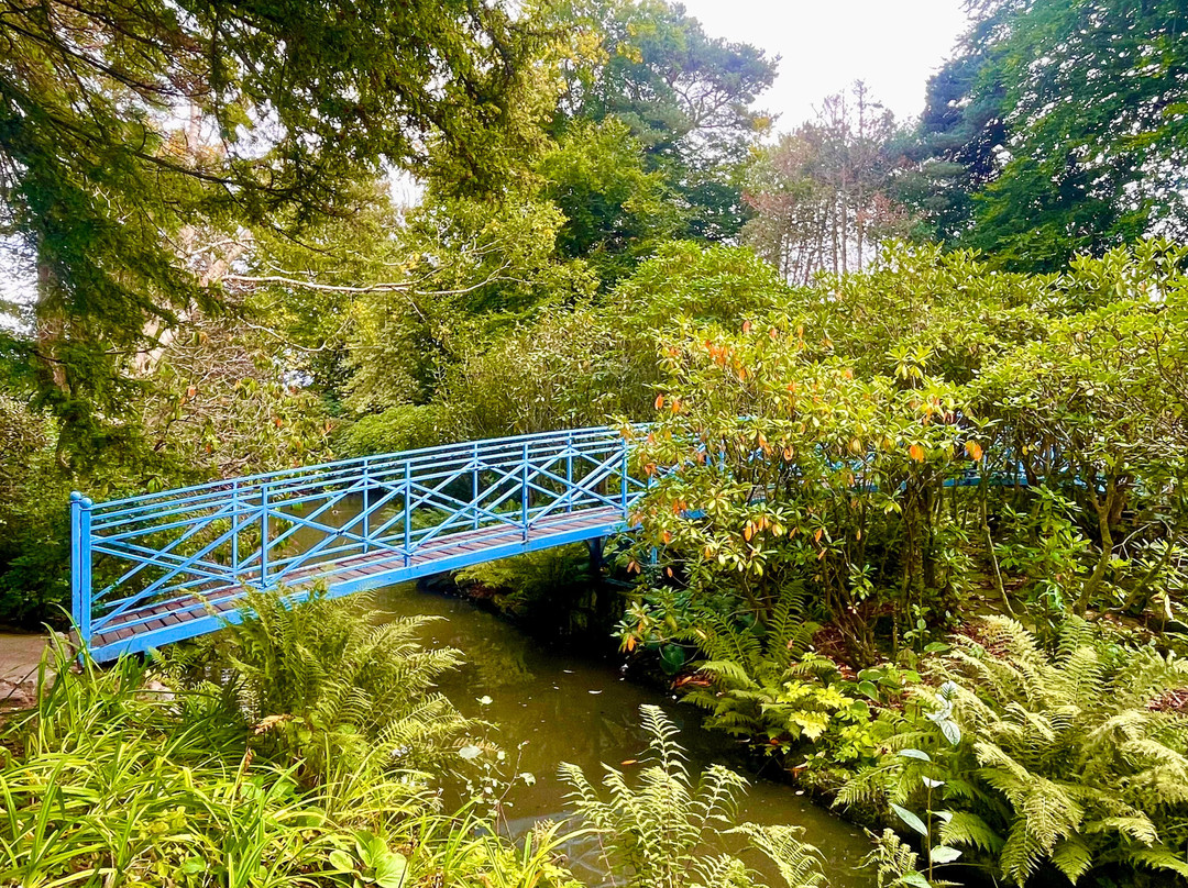 Johnston Gardens-阿伯丁必去景点