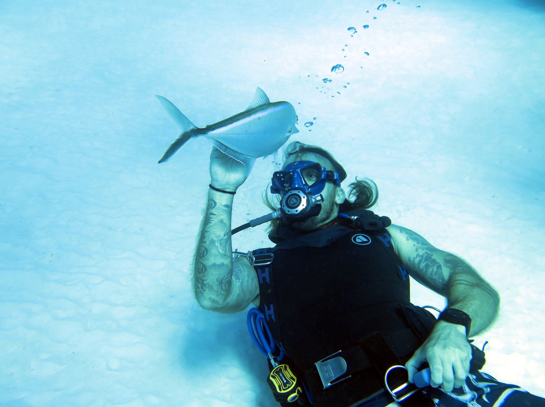 Seafari Turkoise - Dive Center-普罗维登西亚莱斯必去景点