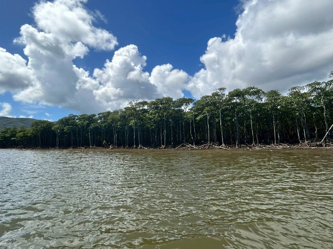 Nakama-river Protected Region-竹富町西表岛必去景点