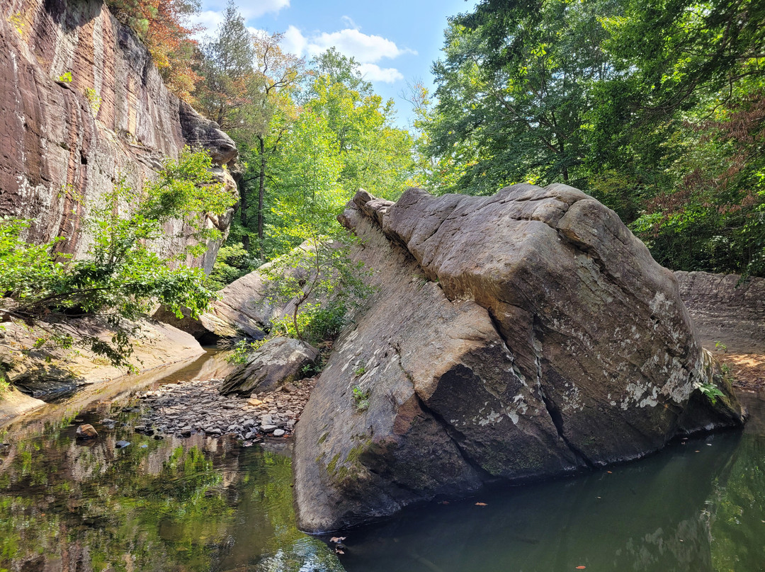 Bell Smith Springs-Ozark必去景点