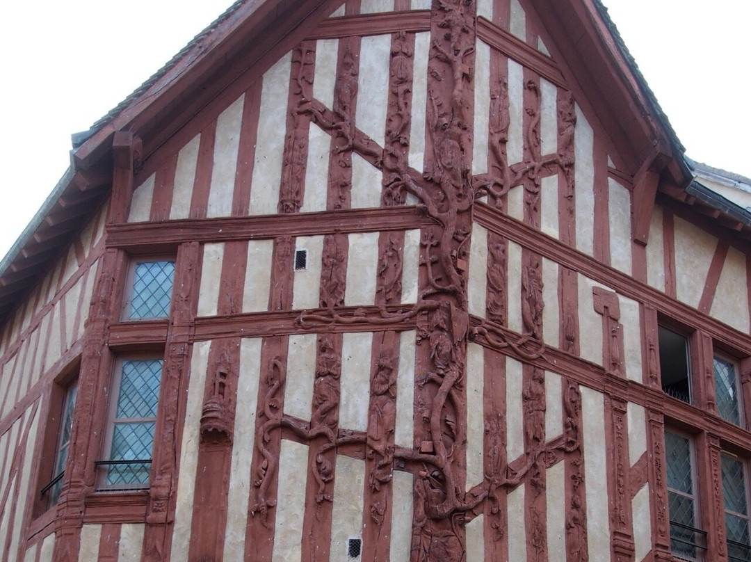 La Maison À L'arbre De Jessé