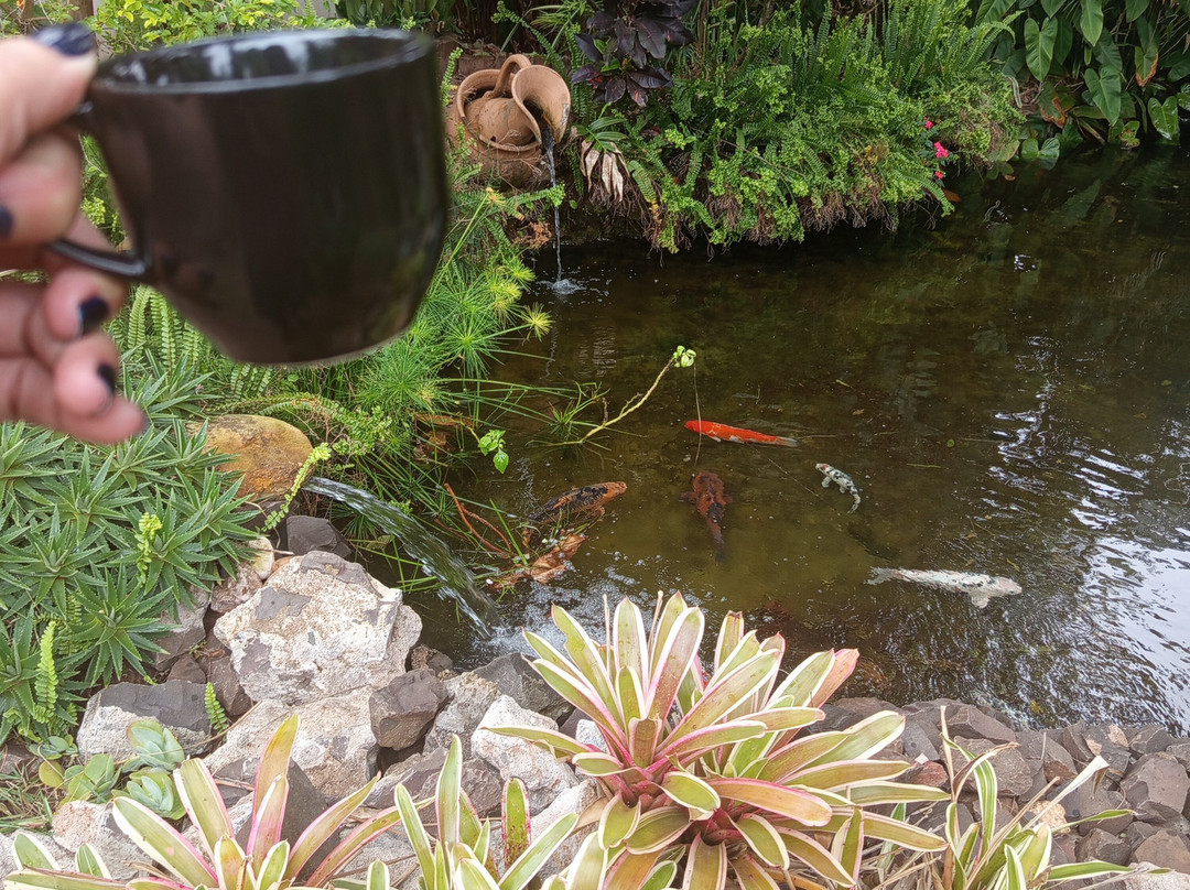 Explorando de 4x4 - Expedições e Ecoturismo-Cidade Gaucha必去景点