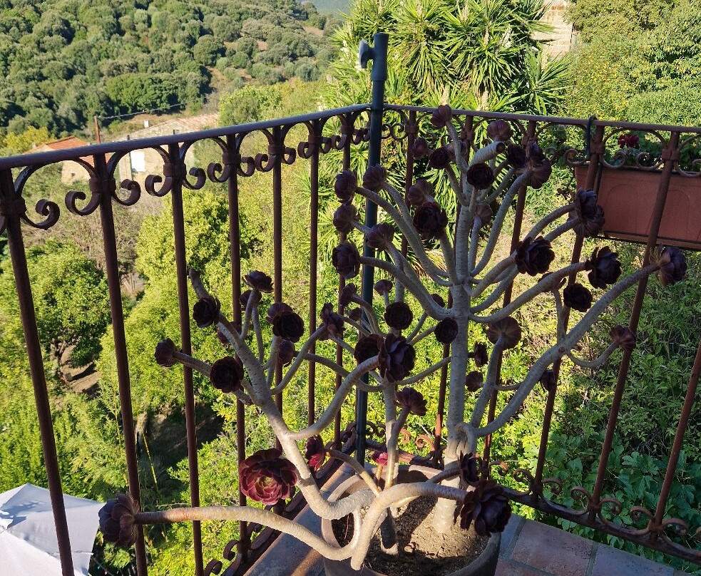 La Villa Guidi主图