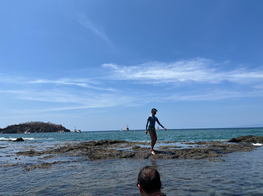 Rancho Armadillo Estate主图