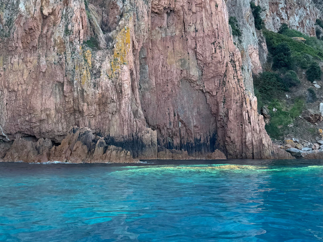 Le Goëland-Porto必去景点