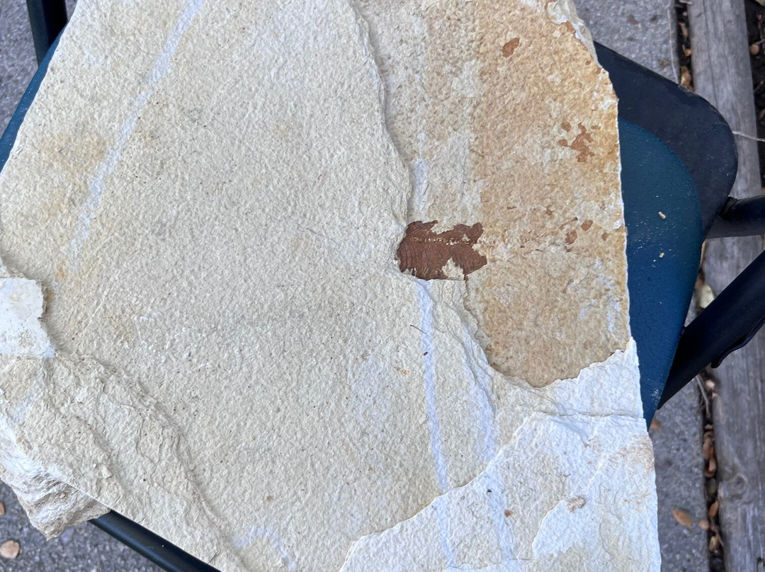 American Fossil-Kemmerer必去景点