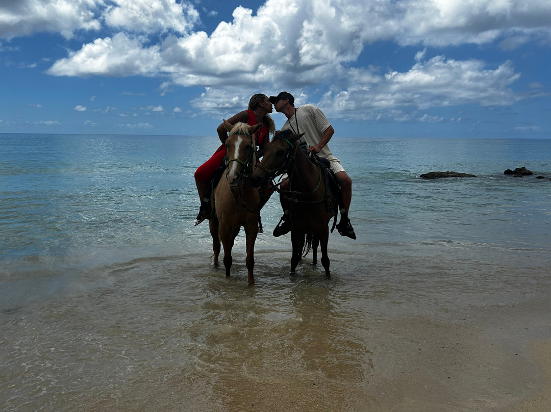 Cruzan Cowgirls-Frederiksted必去景点