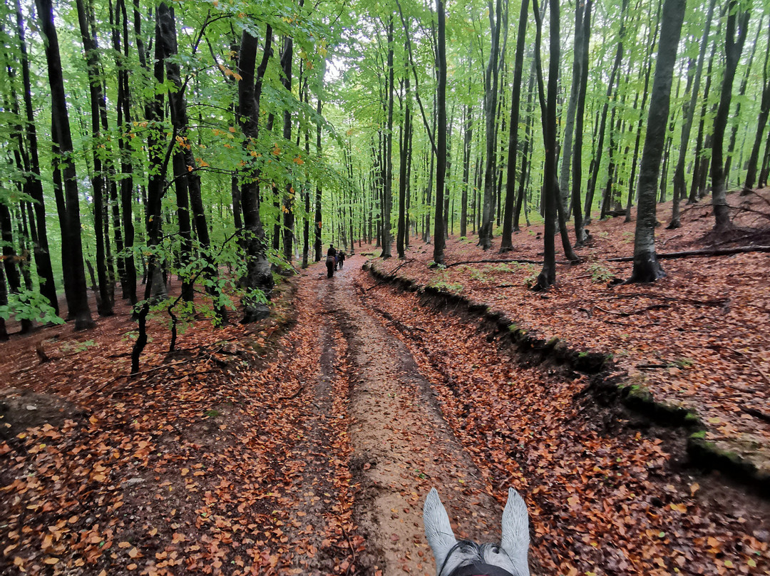 Horseriding Bulgaria - Day Tours-索非亚必去景点