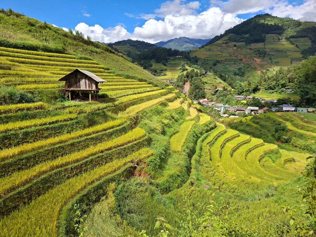 Dong Suoi H'mong Homestay