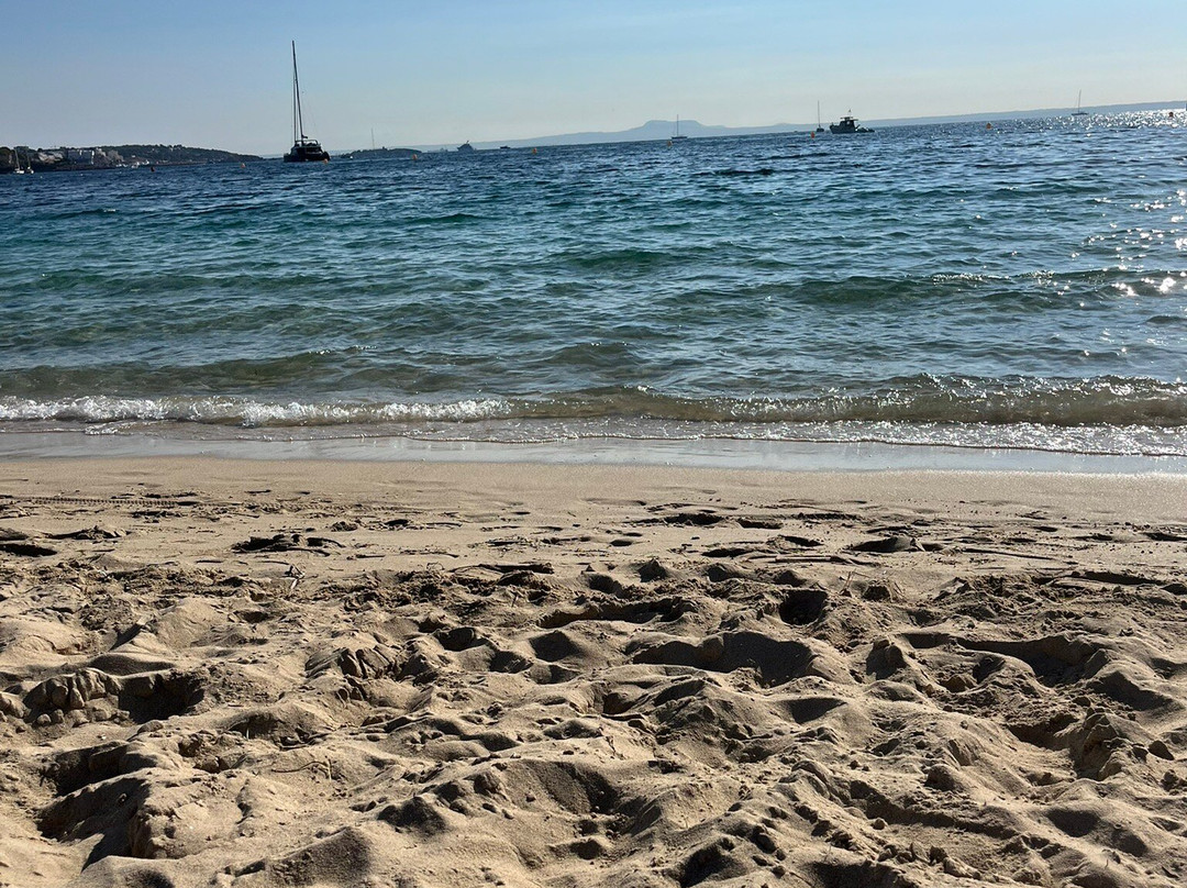 Palma Nova Beach-Palmanova必去景点
