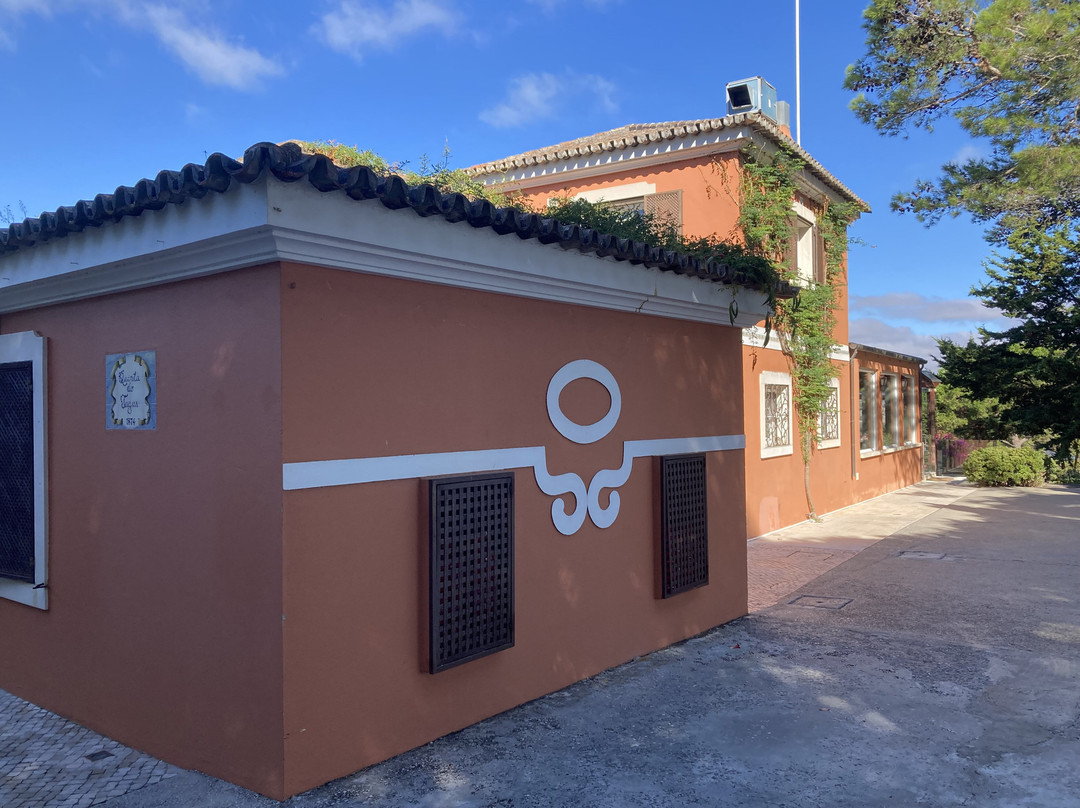 Quinta do Tagus Village主图