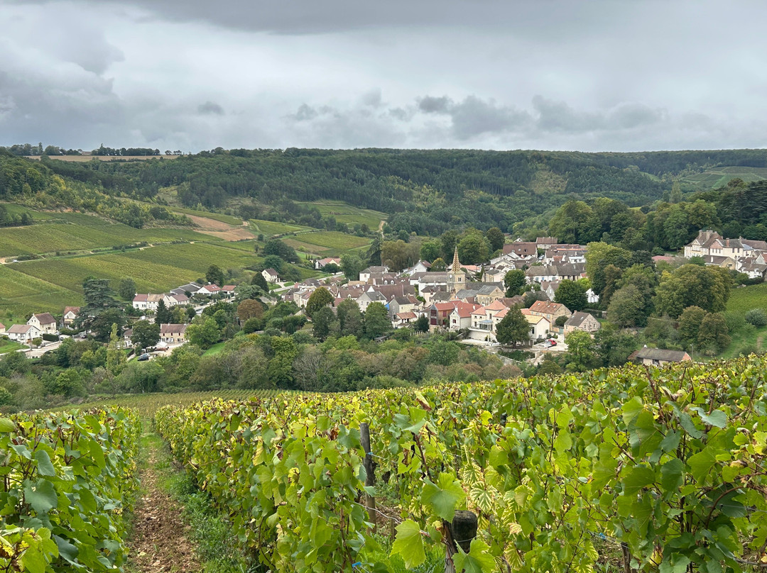 Chemins de Bourgogne-第戎必去景点