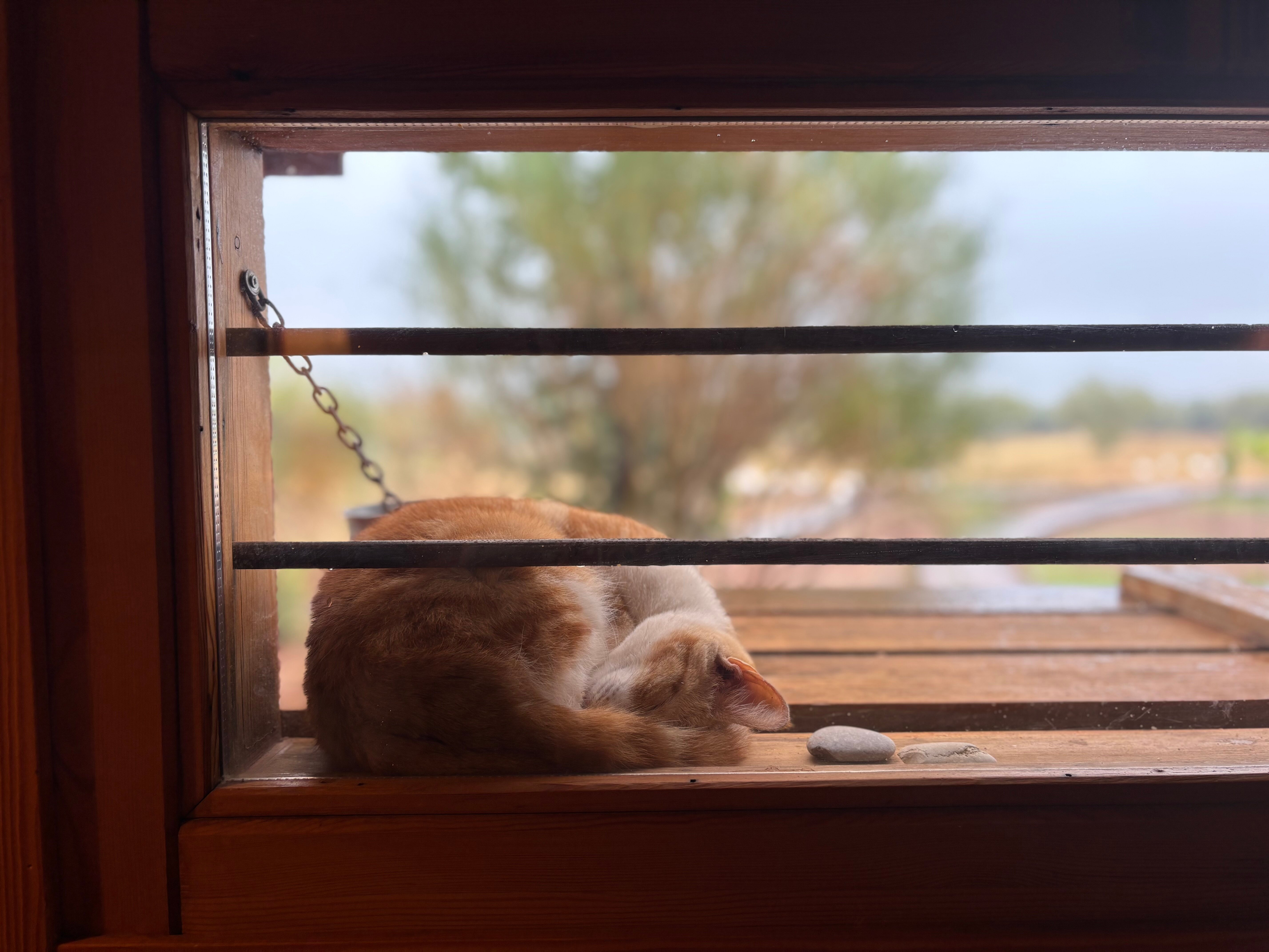 Eumelia Organic Agrotourism Farm-官方