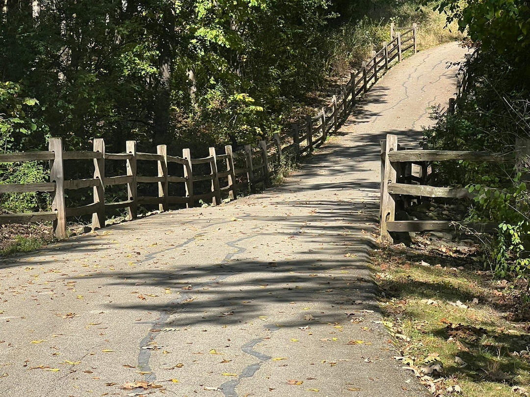 McDonald Woods Forest Preserve