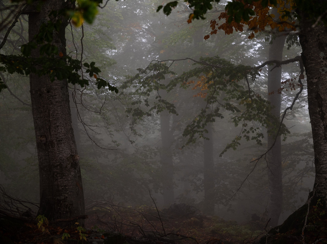 Mount Olympus-色萨利必去景点