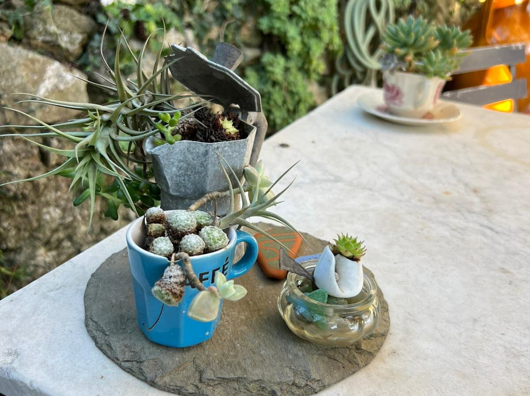 Bed And Breakfast Cà De Badin主图