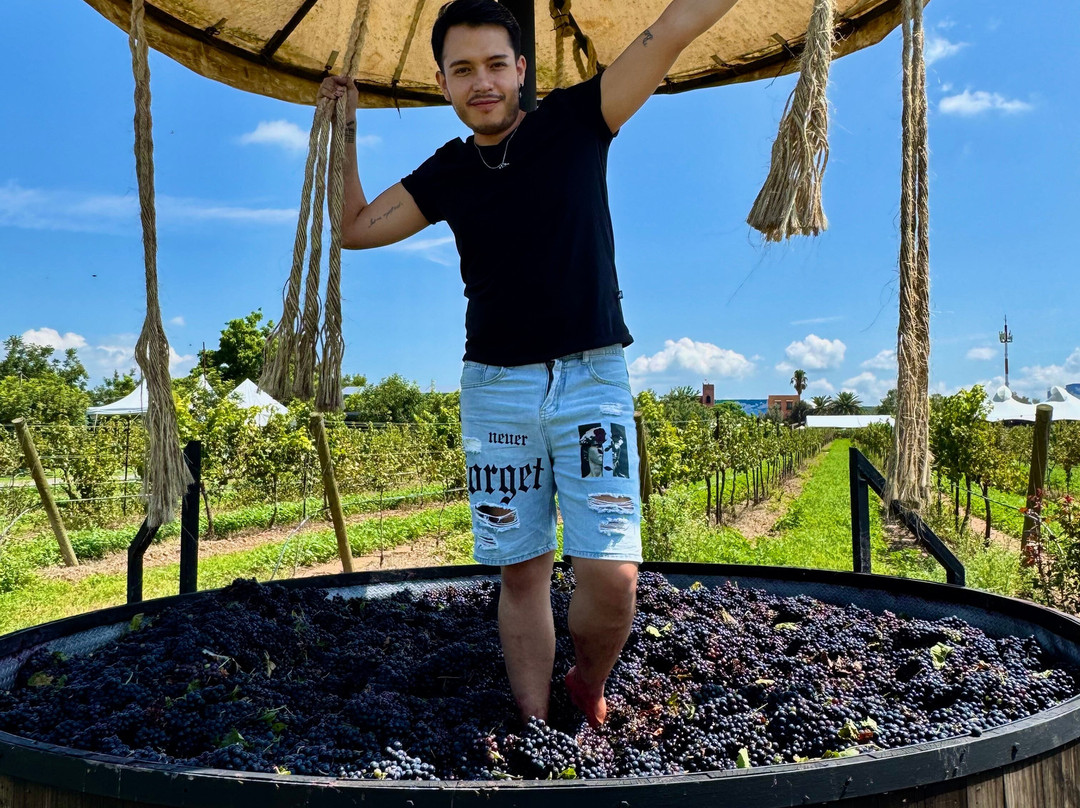 Vinedos La Redonda-Ezequiel Montes必去景点