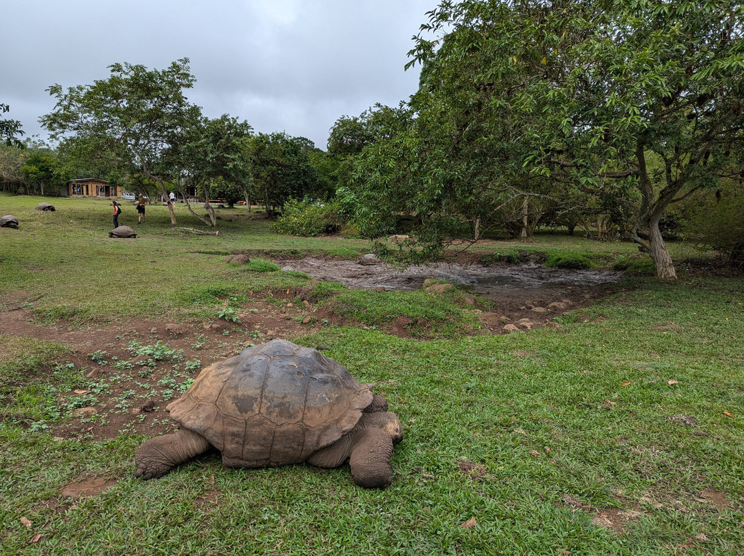 Rancho Primicias-圣克鲁斯必去景点