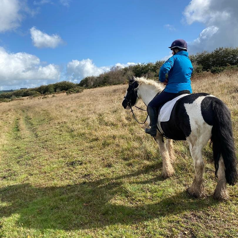 Pine Lodge Riding On Exmoor-Dulverton必去景点